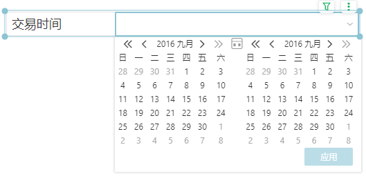 DateFilter11